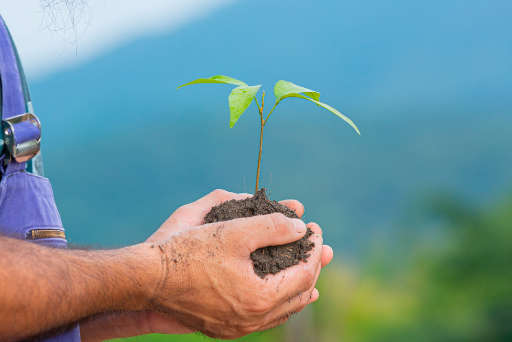 No Dia Mundial do Meio Ambiente, veja como a Arcovan inova com sustentabilidade, redução de impactos e constrói um futuro mais verde.